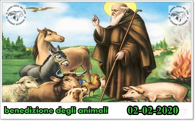 Festa di Sant'Antonio Abate 2015 - Soleminis - 17 Gennaio 2015 - ParteollaClick