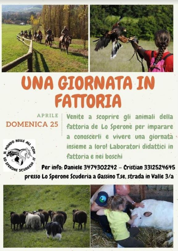 una giornata in fattoria