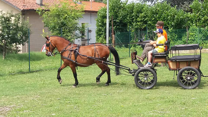 centro estivo 20