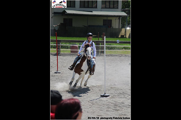 equitazione 07