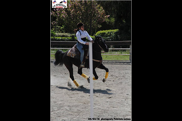 equitazione 08