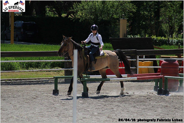 equitazione 10