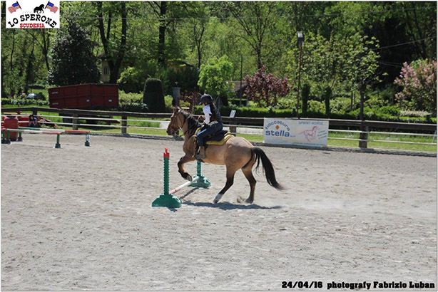 equitazione 11