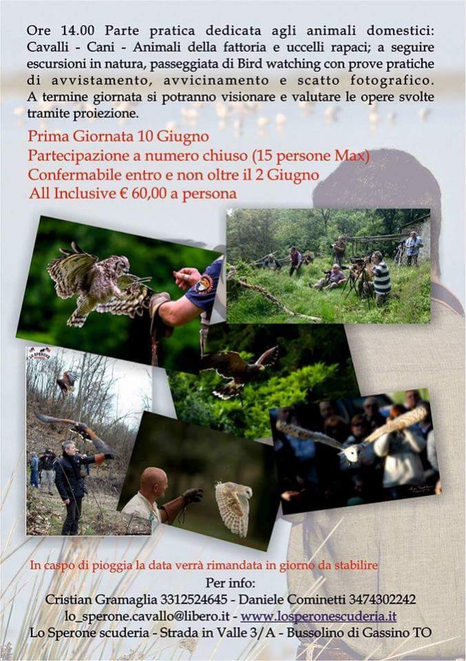 Eventi Lo sperone